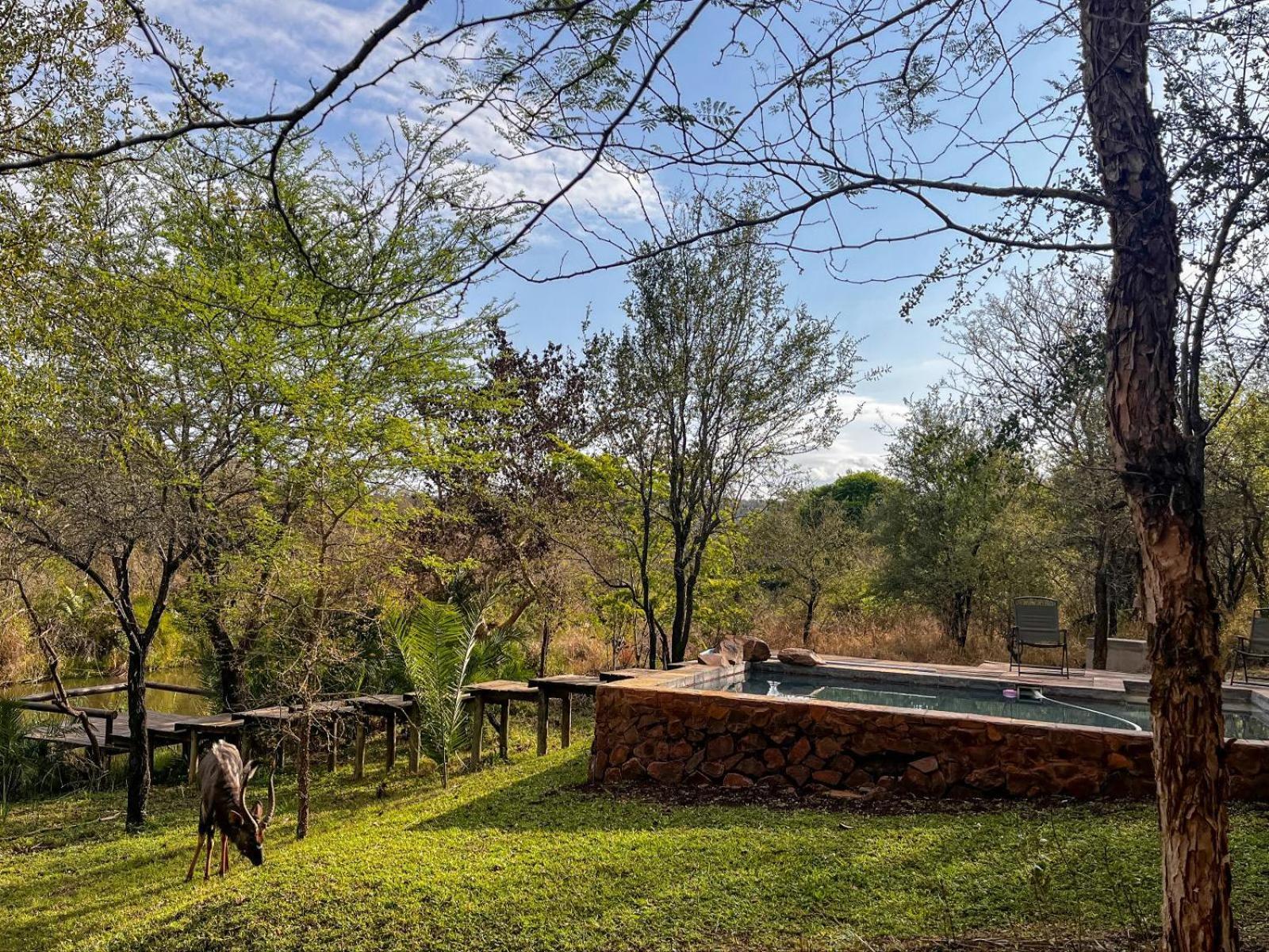Mbuluzi Game Reserve Simunye 객실 사진